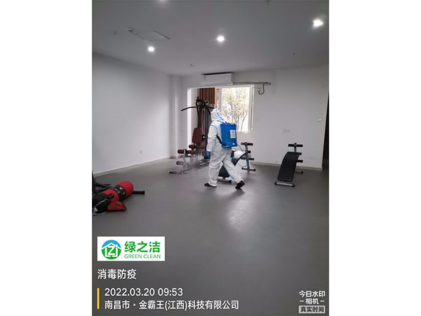 金霸王
