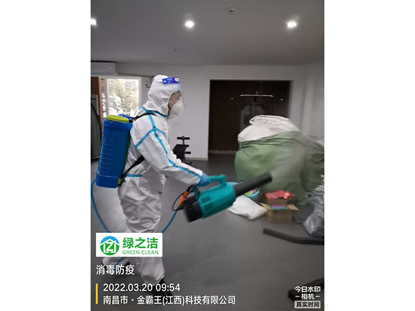 金霸王