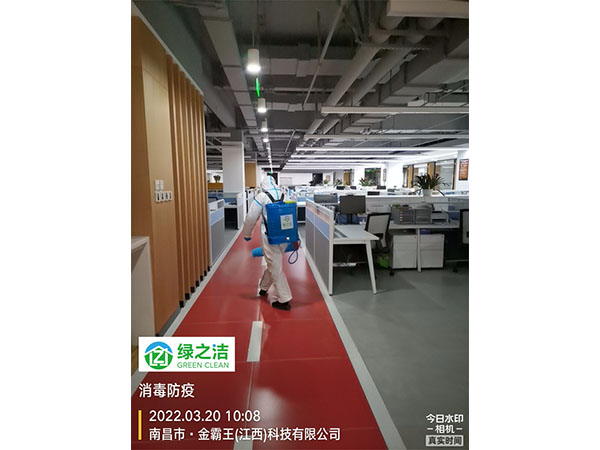 金霸王