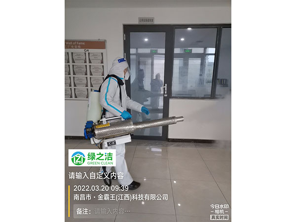 金霸王