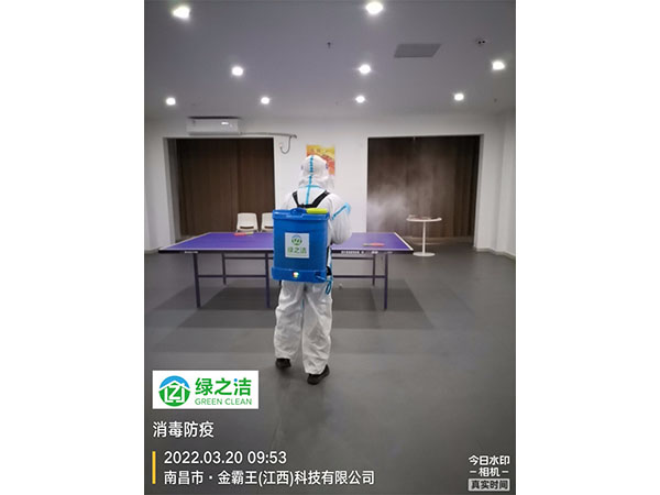 金霸王
