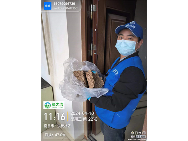 社区乳白蚁取巢现场