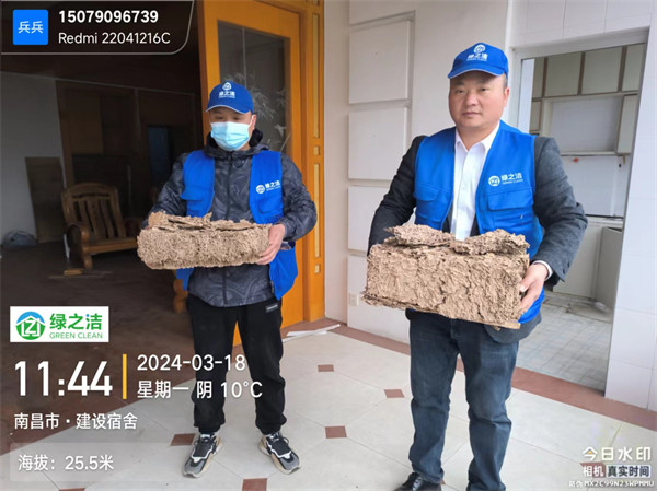 家庭乳白蚁取巢现场