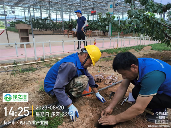 农业产业园白蚁治理