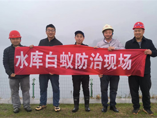 水库白蚁防治现场
