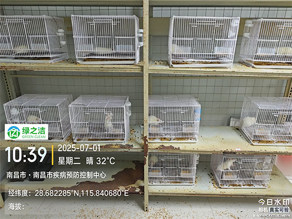 治理案例