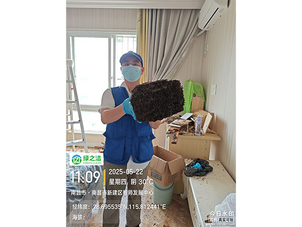 治理案例